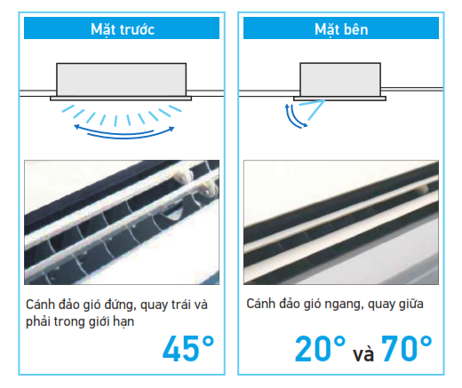 canh-dao-gio-2